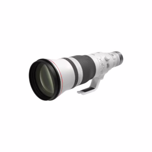 CANON RF 600mm f/4 L USM